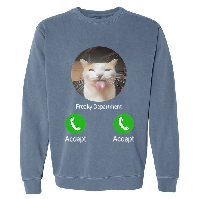 Freaky Department Funny Cat Meme Garment-Dyed Sweatshirt