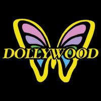 Funny Dollywood Bucket Hat