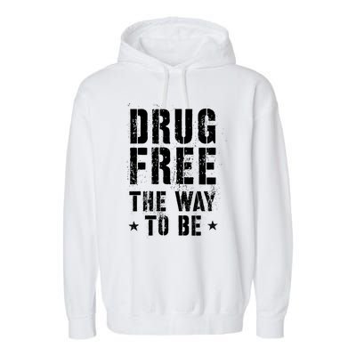 Funny Drug Free The Way To Be Clean Na Inspirational Funny Gift Garment-Dyed Fleece Hoodie