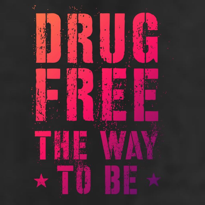 Funny Drug Free The Way To Be Clean Na Inspirational Funny Gift Adult Drive Performance Visor