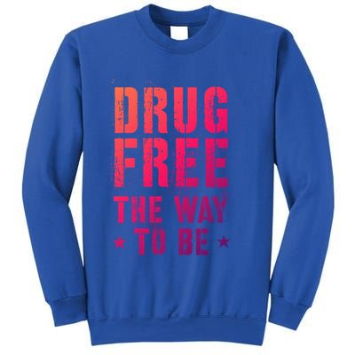 Funny Drug Free The Way To Be Clean Na Inspirational Funny Gift Sweatshirt