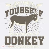 Funny Donkey Poster