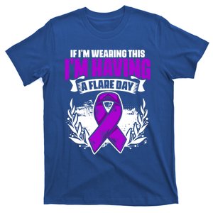 Flare Day Gift Fibro Survivor Warrior Fibromyalgia Awareness Gift T-Shirt