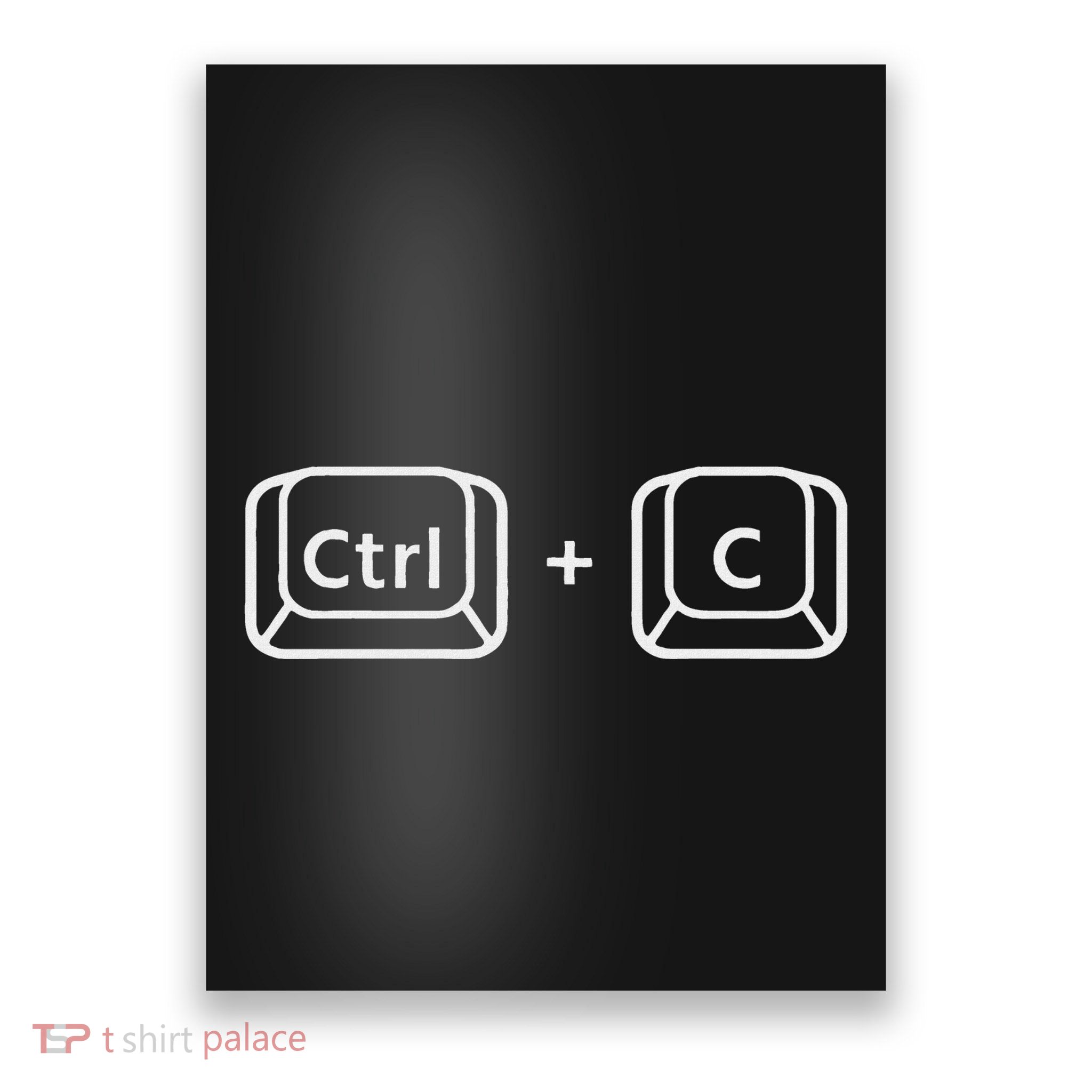 Fathers Day Gift Ctrl C & Ctrl V Dad & Baby Matching New Dad Poster