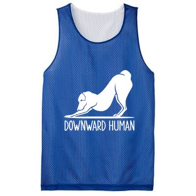 Funny Downward Hu Dog Yoga Design Cool Anime Print Cool Gift Mesh Reversible Basketball Jersey Tank