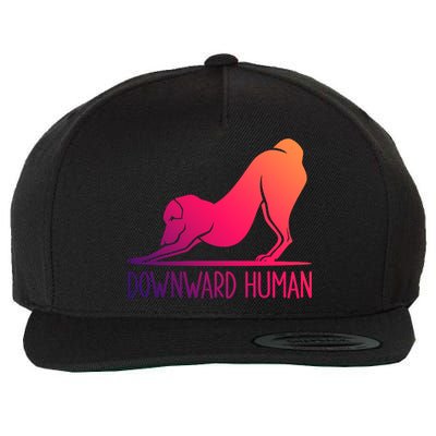 Funny Downward Hu Dog Yoga Design Cool Anime Print Meaningful Gift Wool Snapback Cap