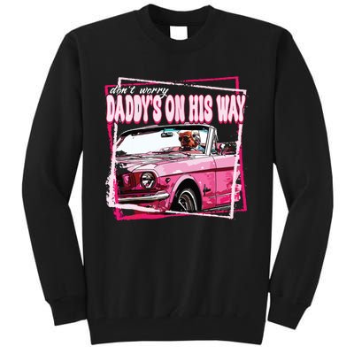 Funny Daddys Home Trump Pink 2024 Take America Back 2024 Tall Sweatshirt