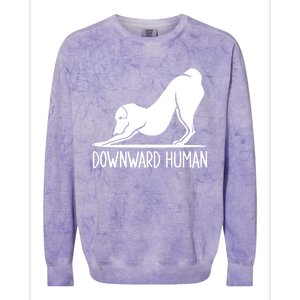 Funny Downward Hu Dog Yoga Design Cool Anime Print Gift Colorblast Crewneck Sweatshirt