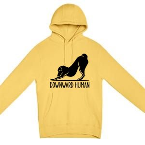 Funny Downward Hu Dog Yoga Design Cool Anime Print Gift Premium Pullover Hoodie