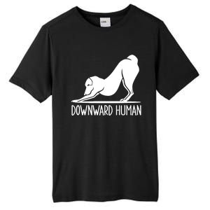 Funny Downward Hu Dog Yoga Design Cool Anime Print Gift Tall Fusion ChromaSoft Performance T-Shirt