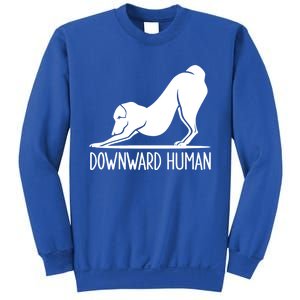 Funny Downward Hu Dog Yoga Design Cool Anime Print Gift Sweatshirt