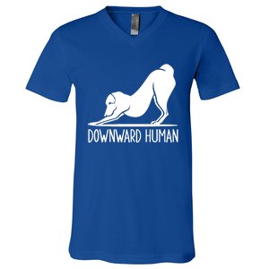 Funny Downward Hu Dog Yoga Design Cool Anime Print Gift V-Neck T-Shirt