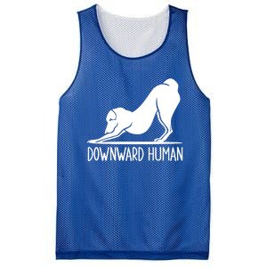 Funny Downward Hu Dog Yoga Design Cool Anime Print Gift Mesh Reversible Basketball Jersey Tank