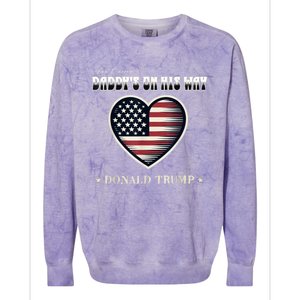 Funny DaddyS Home Trump American Heart Take America Back Gift Colorblast Crewneck Sweatshirt