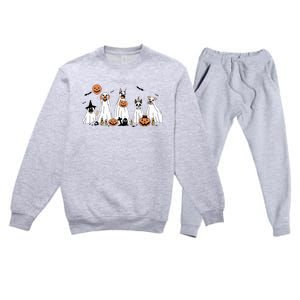 Funny Dog Halloween Trick Or Treat Boo Ghost Pumpkin Dogs Premium Crewneck Sweatsuit Set