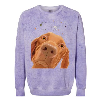 Funny Dog Hungarian Vizsla Colorblast Crewneck Sweatshirt