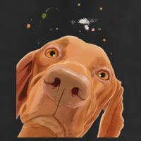 Funny Dog Hungarian Vizsla Cool Comfort Performance Bucket Hat