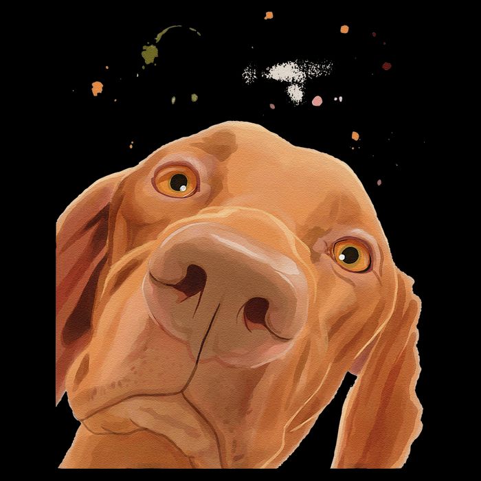 Funny Dog Hungarian Vizsla Sustainable Bucket Hat
