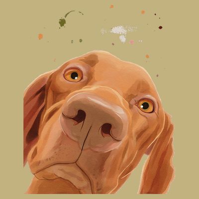 Funny Dog Hungarian Vizsla T-Shirt