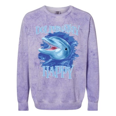 Funny Dolphinately Happy Dolphin Lover Tee Gifts Colorblast Crewneck Sweatshirt