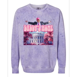 Funny DaddyS Home Trump Pink 2024 Take America Back 2024 Colorblast Crewneck Sweatshirt