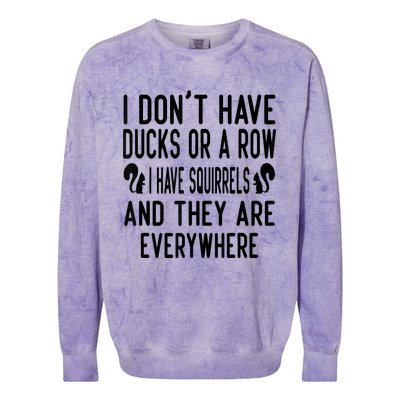 Funny Dont Have Ducks Or A Row I Have Squirrels Everywhere Colorblast Crewneck Sweatshirt