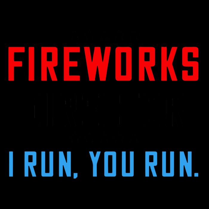 Fireworks Director I Run You Run 16oz Travel Tumbler
