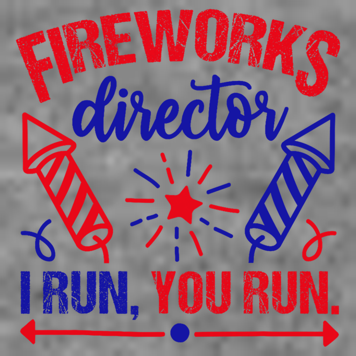 Fireworks Director I Run You Run 4th Of July Usa Toddler Hoodie