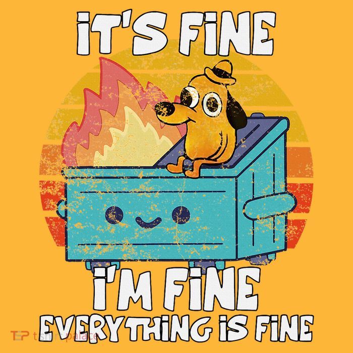 Funny Dumpster Its Fine IM Fine Everything Is Fine Dog Meme Sustainable Knit Beanie