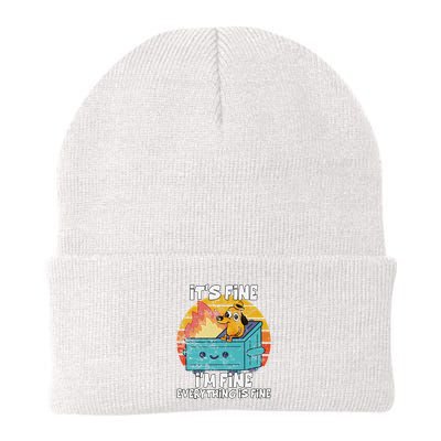 Funny Dumpster Its Fine IM Fine Everything Is Fine Dog Meme Beanie