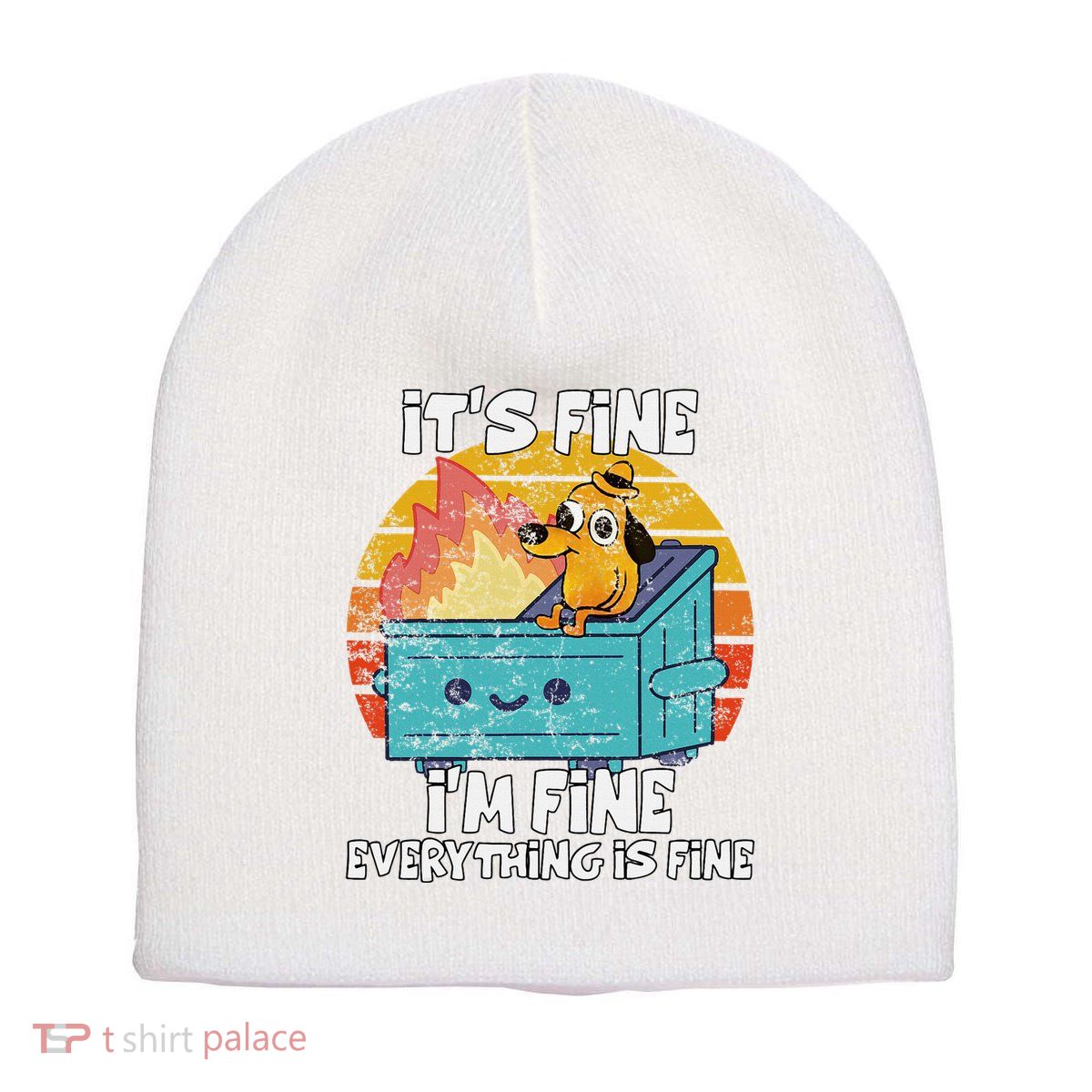 Funny Dumpster Its Fine IM Fine Everything Is Fine Dog Meme Short Acrylic Beanie