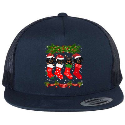 Funny Dachshund In Socks Christmas Dog Lovers Xmas Sweater Meaningful Gift Flat Bill Trucker Hat