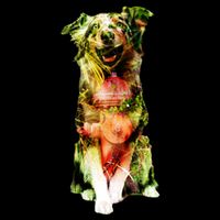 Figherfighter Dog Illustration Performance Shirt