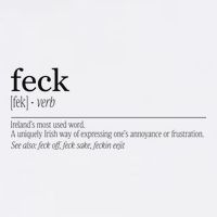 Feck Definition Irish Gift Cool Comfort Performance Bucket Hat
