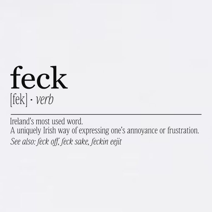 Feck Definition Irish Gift 11oz C Handle Ceramic Mug