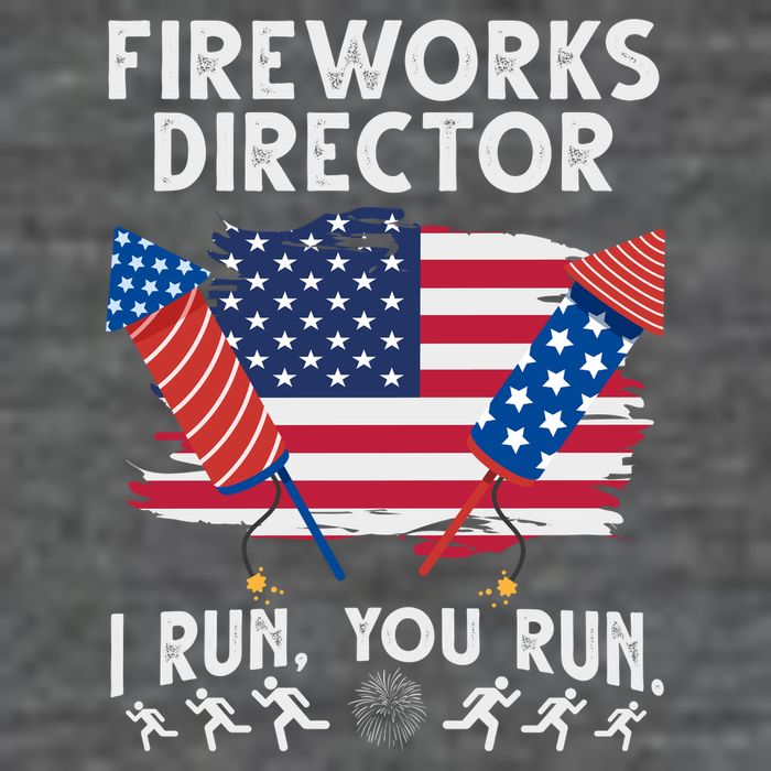 Fireworks Director I Run You Run 4th Of July Festive Premium T-Shirt
