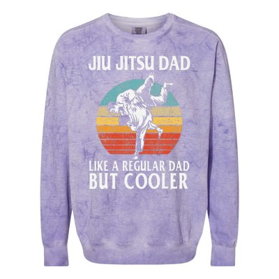 Father’s Day Jiu Jitsu Dad Training Father Vintage Funny Colorblast Crewneck Sweatshirt