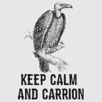 Funny Design Keep Calm And Vultures Condor Buzzard Womens Funnel Neck Pullover Hood