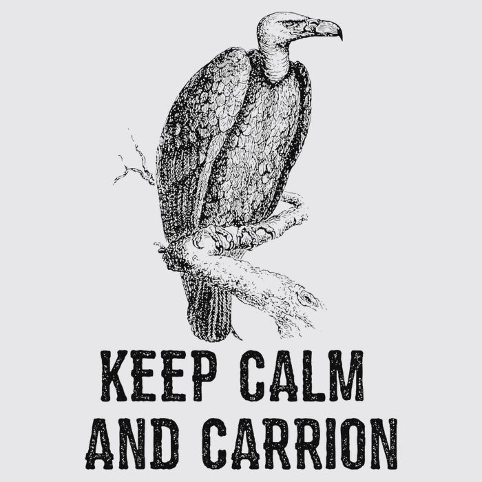 Funny Design Keep Calm And Vultures Condor Buzzard Womens Funnel Neck Pullover Hood