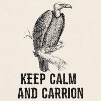 Funny Design Keep Calm And Vultures Condor Buzzard Garment-Dyed Women's Muscle Tee