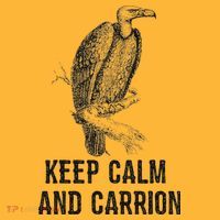 Funny Design Keep Calm And Vultures Condor Buzzard Sustainable Knit Beanie