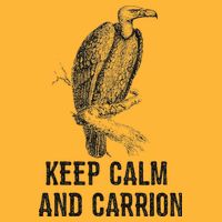 Funny Design Keep Calm And Vultures Condor Buzzard Pom Pom 12in Knit Beanie