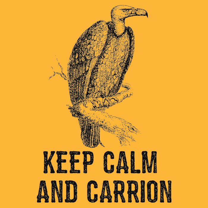 Funny Design Keep Calm And Vultures Condor Buzzard Pom Pom 12in Knit Beanie