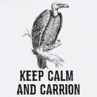 Funny Design Keep Calm And Vultures Condor Buzzard Short Acrylic Beanie
