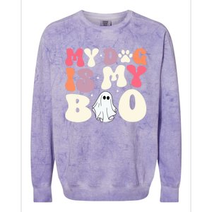 Funny Dog Lover Halloween Puppy Groovy My Dog Is My Boo Gift Colorblast Crewneck Sweatshirt