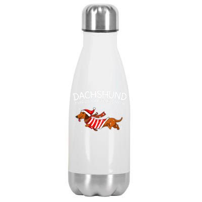 Funny Dog Lover Christmas Through The Snow Dachshund Xmas Gift Stainless Steel Insulated Water Bottle