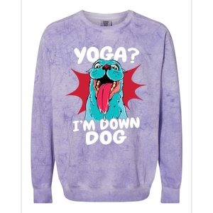 Funny Dog Lovers Yoga Funny Gift Yoga Im Down Dog Gift Colorblast Crewneck Sweatshirt