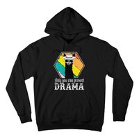 Funny Drama Llama Only You Can Prevent Drama Vintage Llama  Hoodie