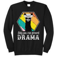 Funny Drama Llama Only You Can Prevent Drama Vintage Llama  Sweatshirt