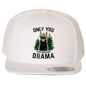 Funny Drama Llama Only You Can Prevent Drama Sarcastic Lover Wool Snapback Cap